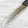 Нож для овощей VICTORINOX 6.7733